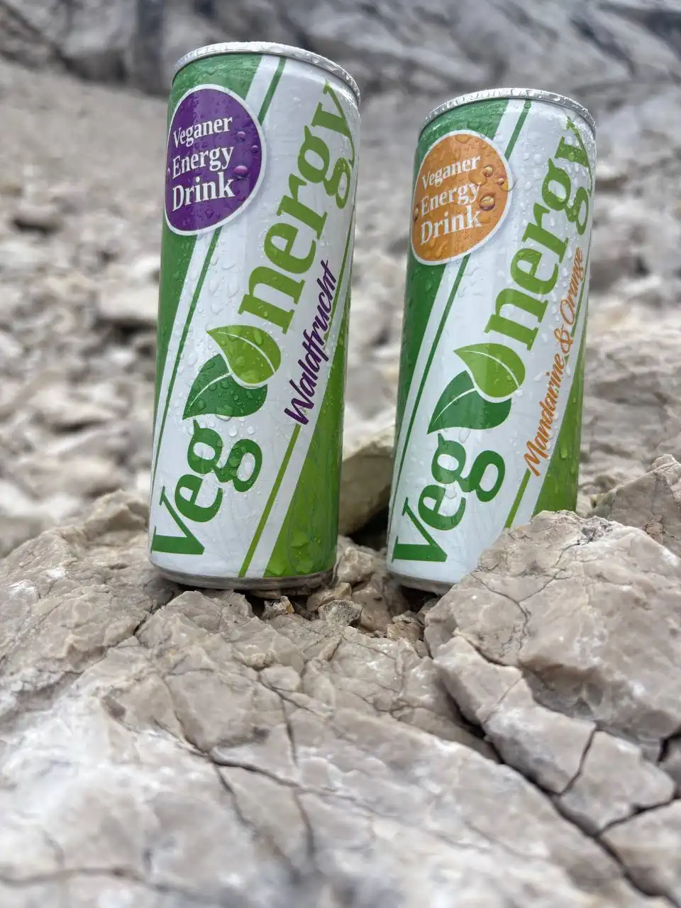 Vegenergy Waldfrucht Energy Drink Dose - 100% Energie